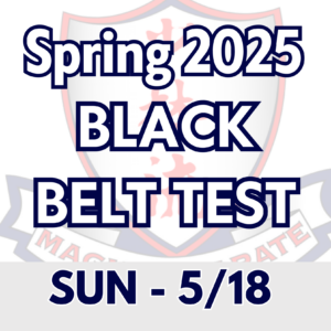 Spring Black Belt Test