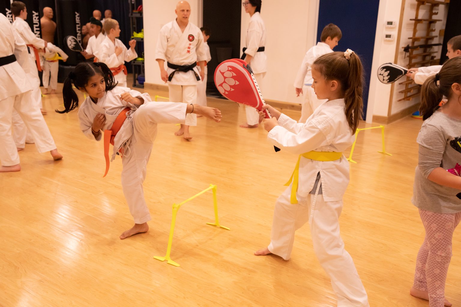 Age 7+ Martial Arts Programs - Magnus Karate