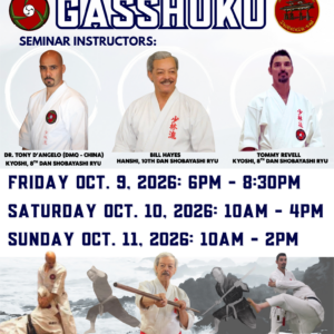 Shobayashi-Kan Seminar Full Seminar