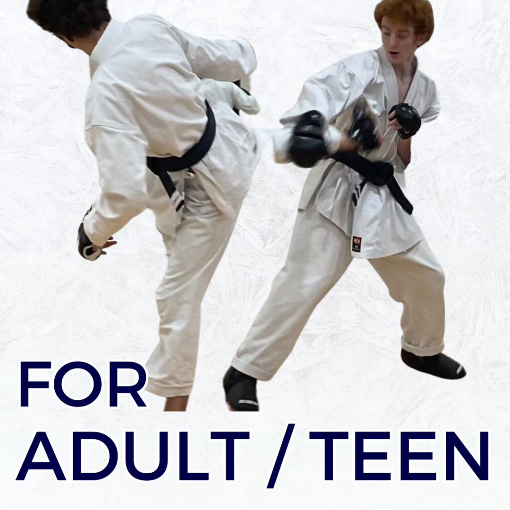 Adult martial arts training at Magnus Karate