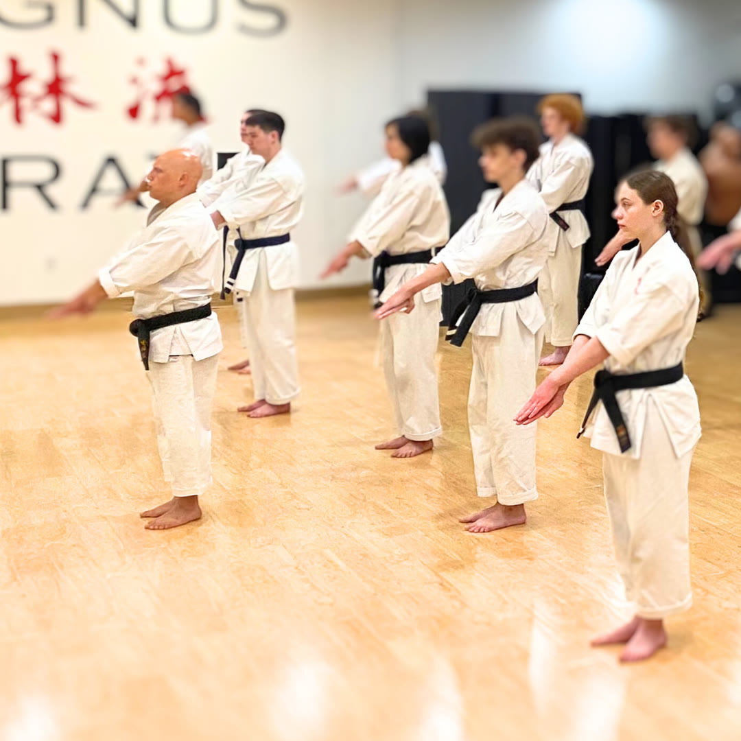 Adult and teen martial arts at Magnus Karate